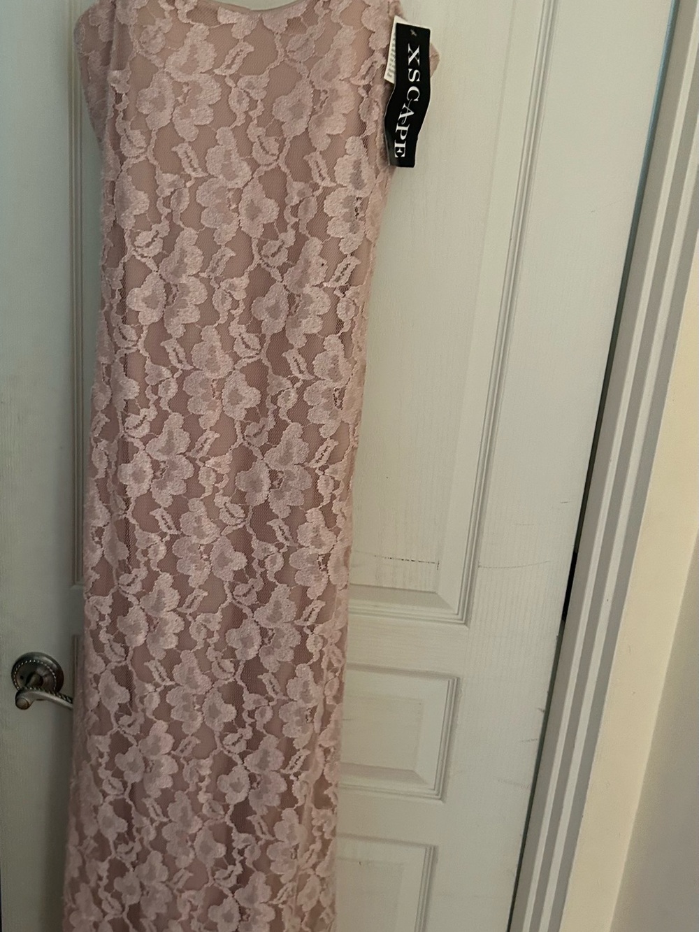 Xscape Blush Pink Floral Lace Maxi Dress size 12